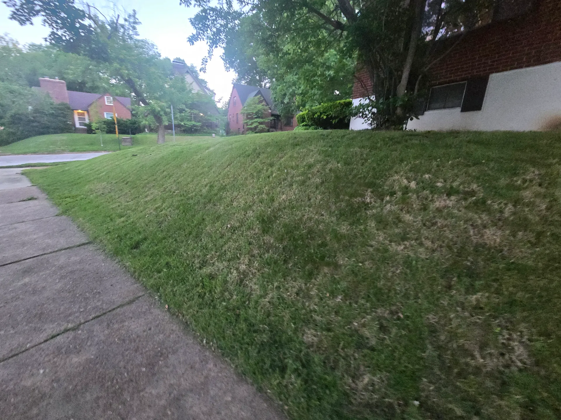 Steep grass bank along a sidewalk with a fresh, level cut.